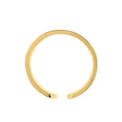 Bague Ruka Acier Jaune