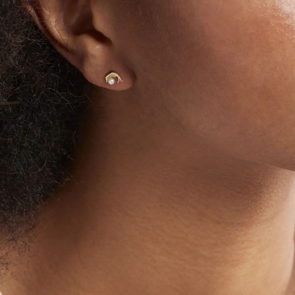Boucles D'oreilles Puces Dyan Dauphin Or Jaune Perle De Culture|Marc Orian Clearance