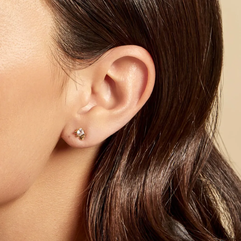 Boucles D'oreilles Puces Jumboo Or Jaune Oxyde De Zirconium|Marc Orian Clearance