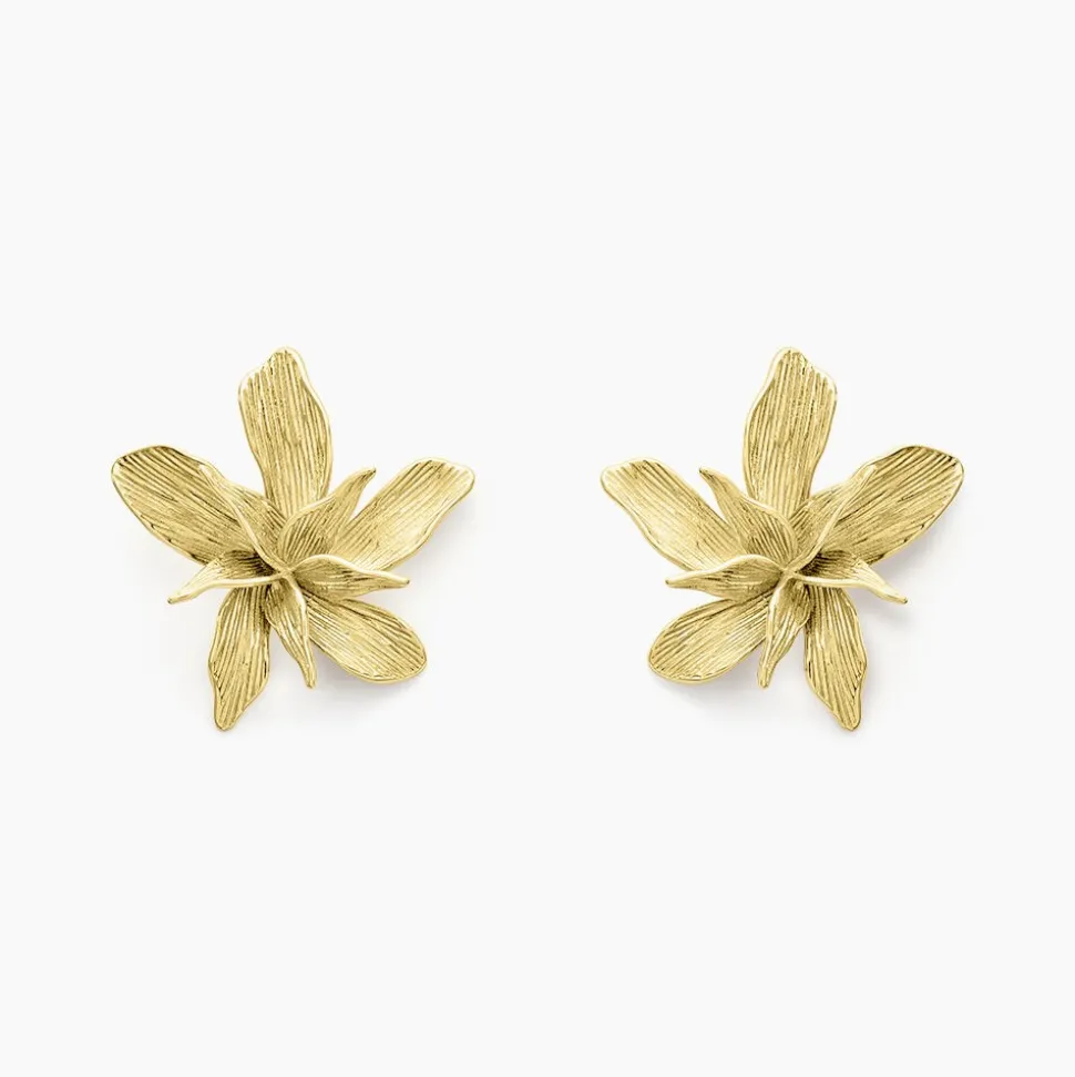 Boucles D'oreilles Puces Majorelle Acier Jaune