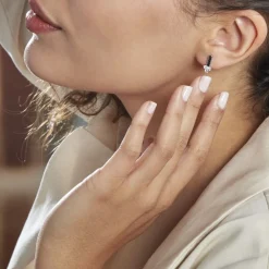 Boucles D'oreilles Puces Robinson Argent Oxydes De Zirconium|Marc Orian Online