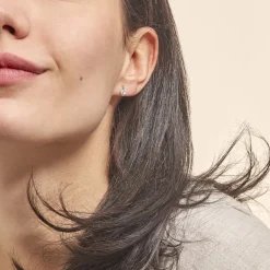 Boucles D'oreilles Puces Vrille Accompagnee Or Blanc Diamant