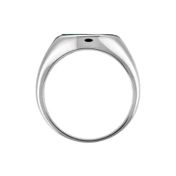 Chevalière Argent Blanc Aileas Malachite