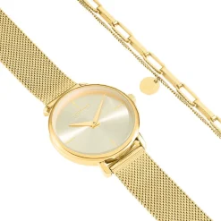 Coffret De Montre Amele Doré|CODHOR