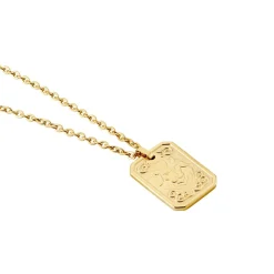 Collier Acier Jaune|PHEBUS HIM Discount