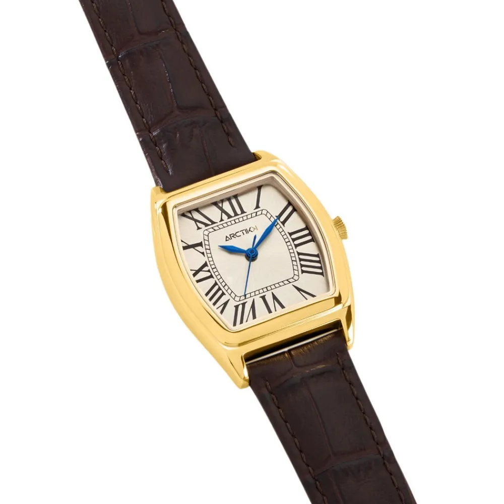 Montre Globe Argenté|ARCTIK Best