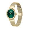Montre Boss Rosehill Vert|HUGO BOSS Discount