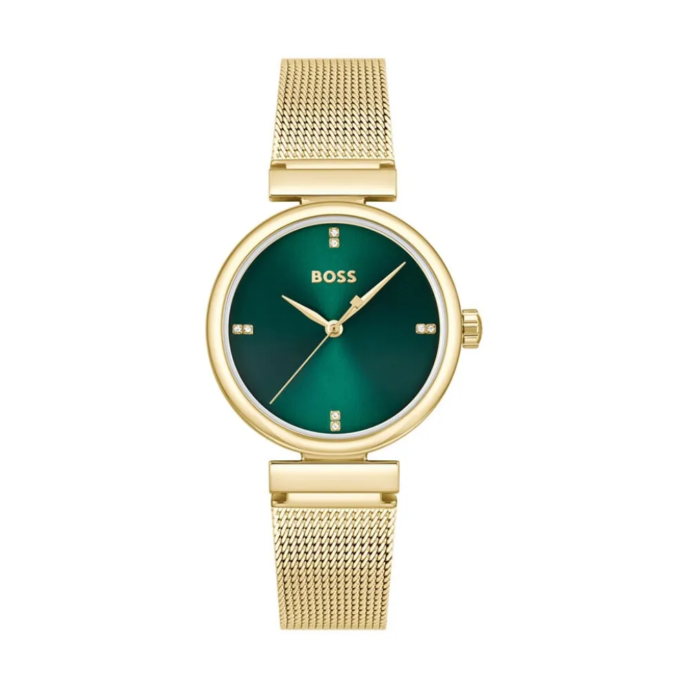 Montre Boss Rosehill Vert|HUGO BOSS Discount