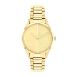 Montre Iconic Doré|CALVIN KLEIN Online