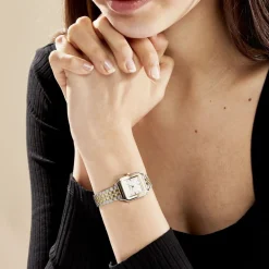 Montre Gracieuse Petite Blanc|CLUSE New