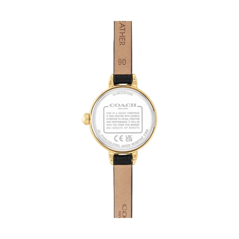 Montre Iris Blanc|COACH