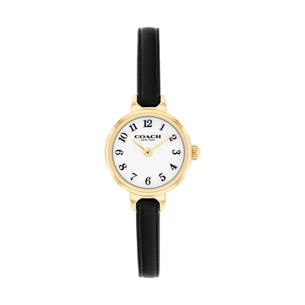 Montre Iris Blanc|COACH