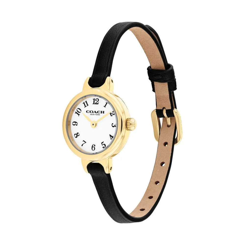 Montre Iris Blanc|COACH